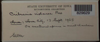 Image Associated With the Occurence